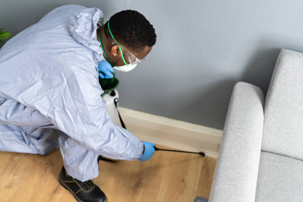 Best Commercial Pest Control  in Boynton Beach, FL